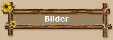 Bilder
